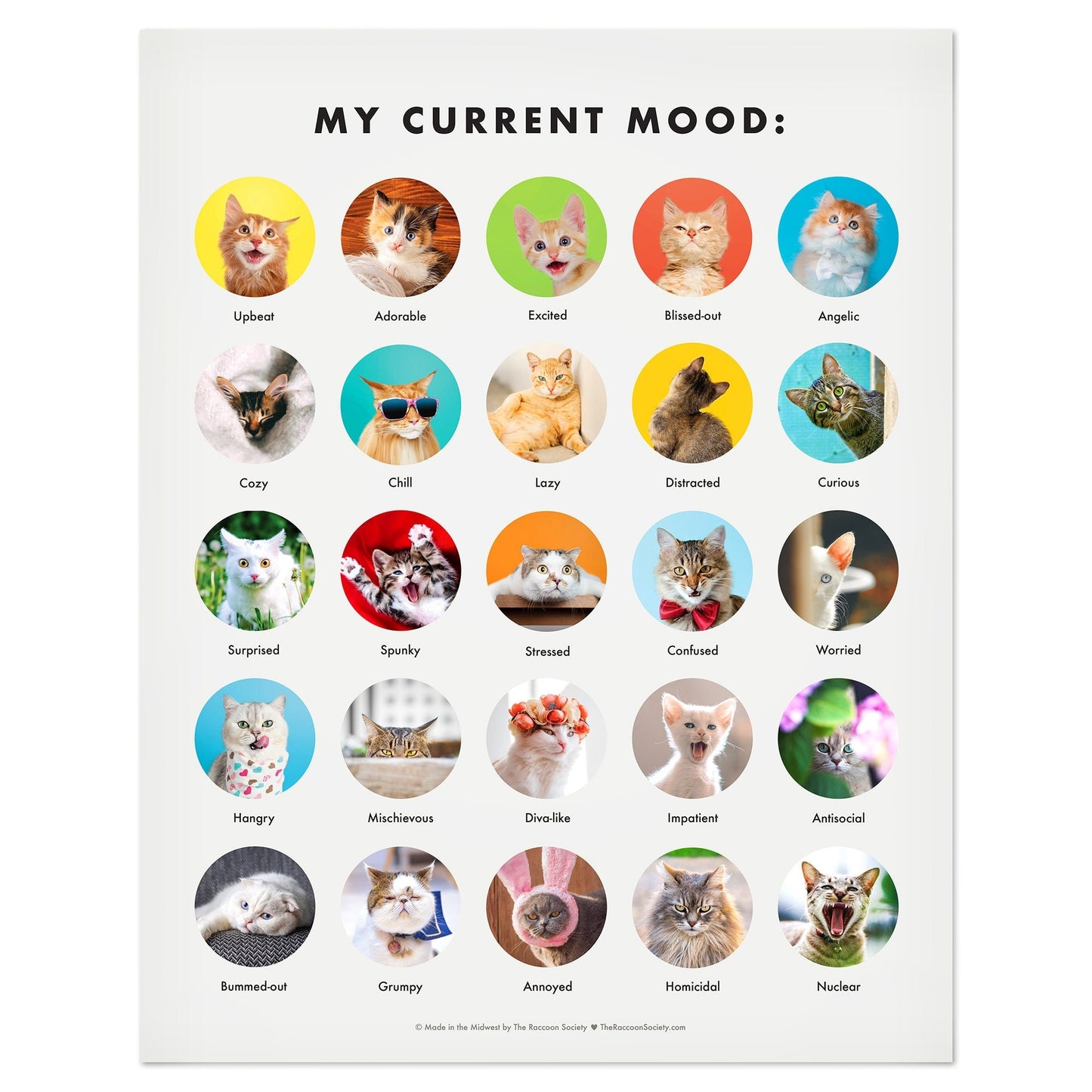 Cat Mood Chart